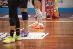 dsc_3978.webp