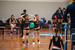 dsc_4482.webp