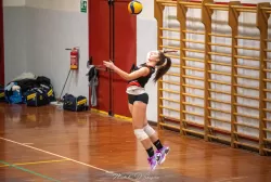 dsc_4573.webp