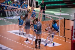 dsc_4592.webp