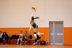 dsc_4619.webp