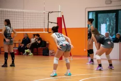dsc_4632.webp