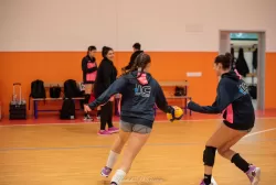 dsc_4703.webp