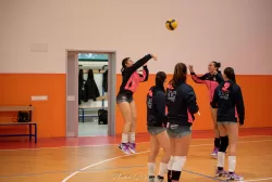 dsc_4707.webp