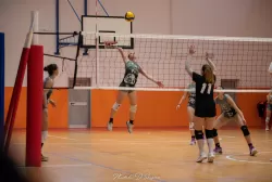dsc_4958.webp