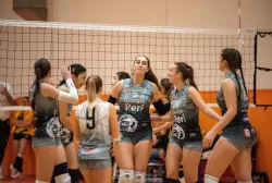 dsc_5006.webp