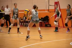 dsc_5028.webp