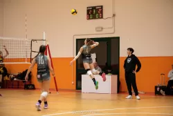 dsc_5053.webp