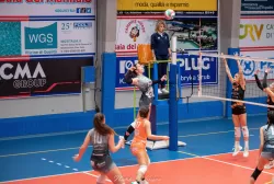 dsc_5140.webp