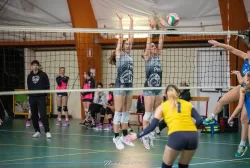 dsc_5932.webp