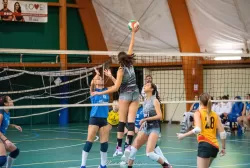 dsc_5986.webp