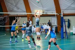 dsc_6036.webp
