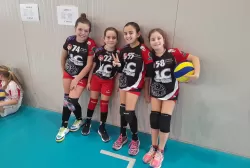 333332.webp