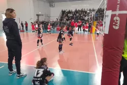 33333245.webp