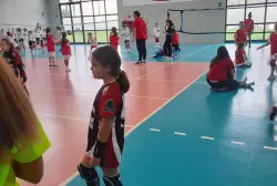 ccvvf.webp