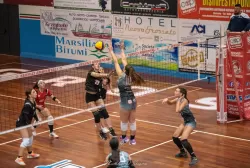 dsc_7063.webp