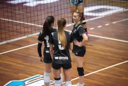 dsc_7132.webp