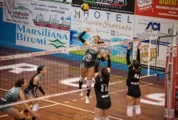dsc_7164.webp