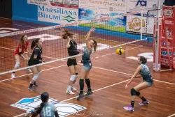 dsc_7203.webp