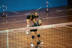 dsc_7232.webp