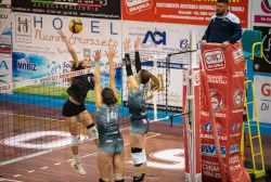 dsc_7251.webp