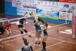 dsc_7294.webp