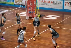 dsc_7454.webp