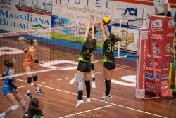 dsc_7652.webp