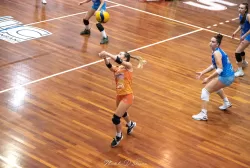dsc_7718.webp