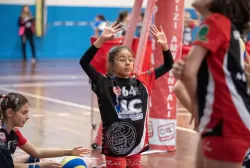 dsc_7790.webp