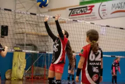 dsc_7877.webp
