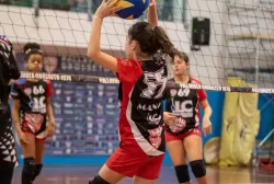 dsc_7879.webp