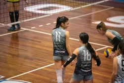 dsc_8292.webp
