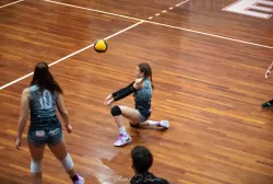 dsc_8393.webp