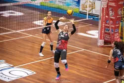 dsc_8481.webp