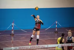 dsc_8536.webp