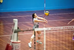 dsc_8931.webp