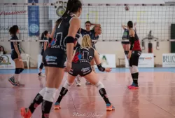 dsc_9075.webp