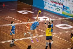 dsc_9676.webp