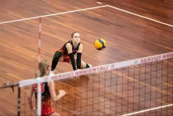 dsc_9343.webp