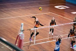 dsc_9346.webp