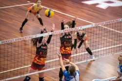 dsc_9364.webp
