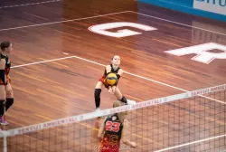 dsc_9371.webp