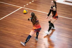 dsc_9381.webp