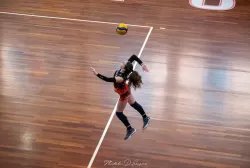 dsc_9388.webp