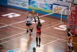dsc_9398.webp