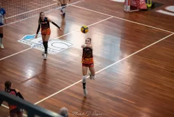 dsc_9407.webp