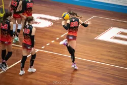 dsc_9433.webp