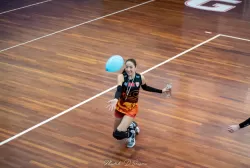 dsc_9501.webp