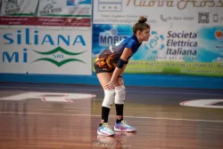 dsc_0552.webp